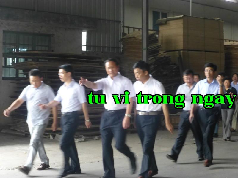 Các lãnh đạo chủ chốt của huyện đã đến thăm và chỉ đạo công ty