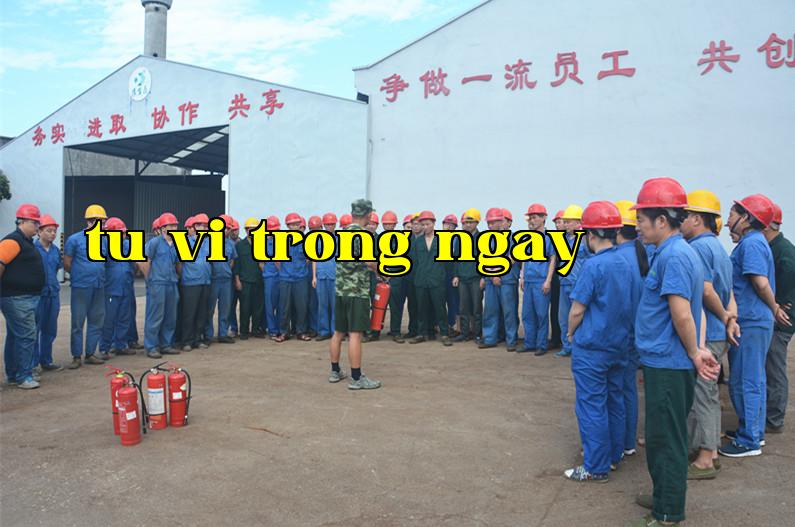 Tổng Công ty Green Oasis tổ chức diễn tập phòng cháy chữa cháy.