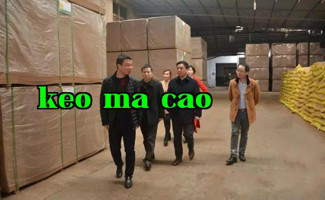 Phó Giám đốc Cục Bảo vệ Môi trường thành phố Gia An, ông Vương Dũng, đến công ty chúng tôi để thăm quan và hướng dẫn công việc