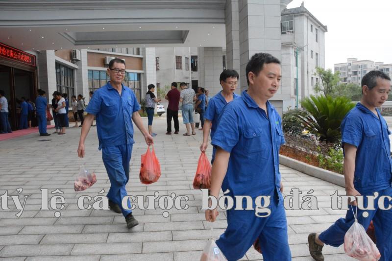 Nguồn đất lành Hương lá tro